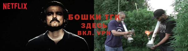 PSILOCYBIN Армянск