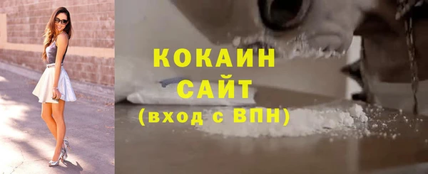 ГАЛЛЮЦИНОГЕННЫЕ ГРИБЫ Аркадак