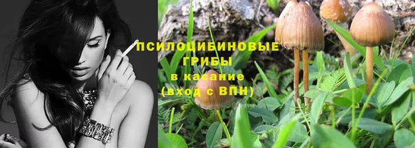 прущая мука Сосновоборск